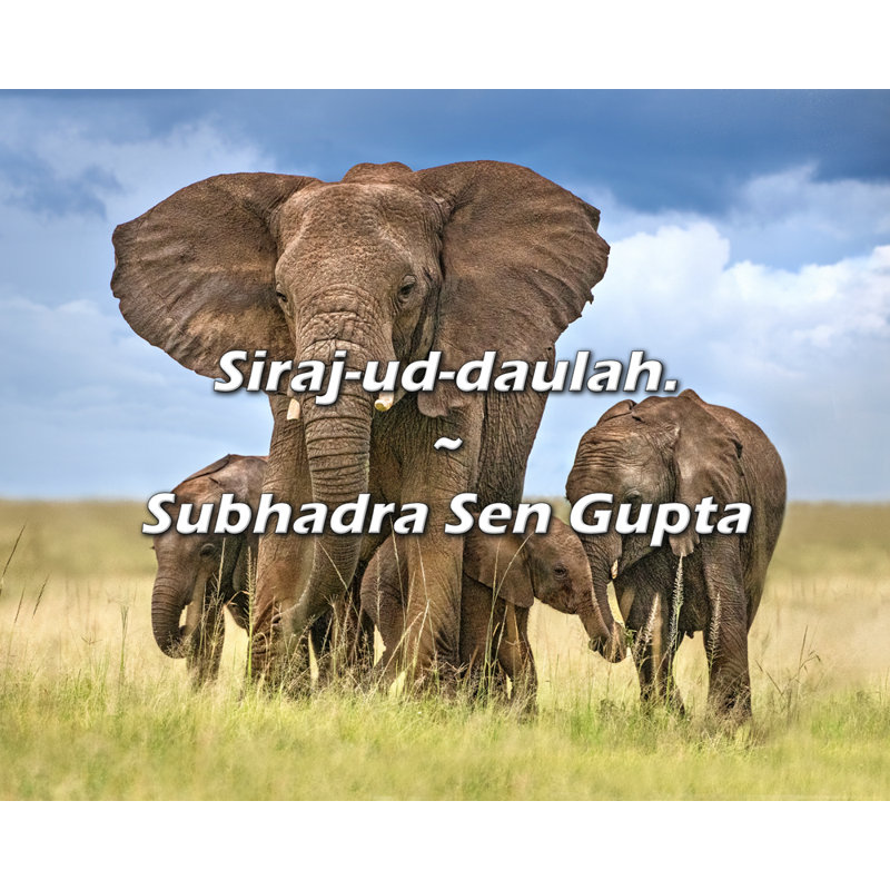 Citation artistique «Siraj-ud-daulah». Toile tendue par Subhadra Sen Gupta, H 28 po x l 40 po