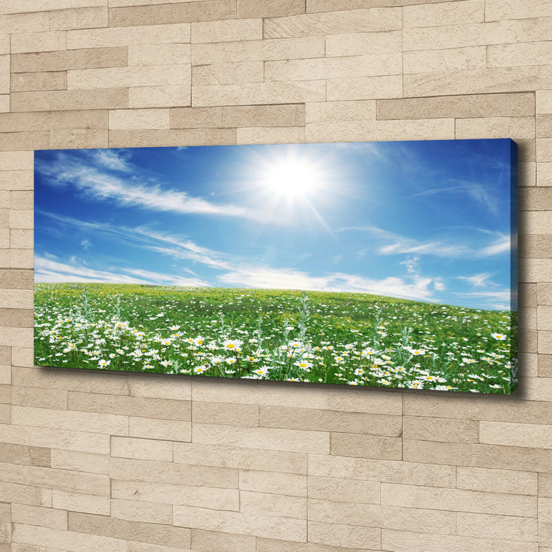 Meadow - Wrapped Canvas Print