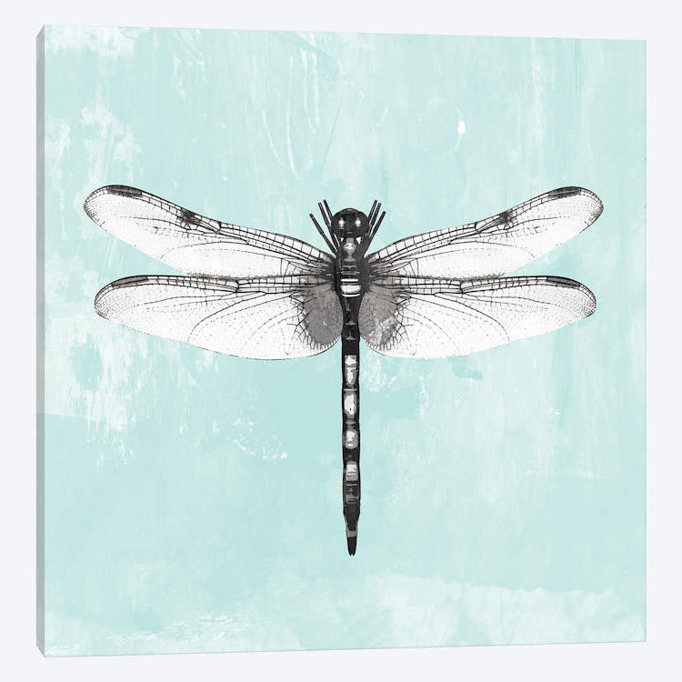 «Dragonfly I», reproduction sur toile, H 26 po x l 26 po x P 1,5 po, Toile tendue, Pas de tapis