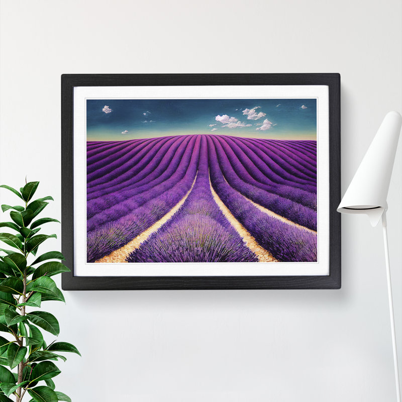 Eccentric Lavender Flower Field - Single Picture Frame Print, Black Frame, 46cm H x 64cm W x 2cm D