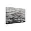 «Surface Water II» bolognaise sur toile-98248153