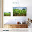 Plantation de bananes Harnek-108888019