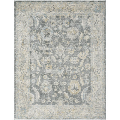 Amaurion Traditional Machine Woven Area Rug