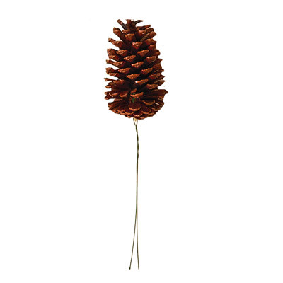 Cône de pin