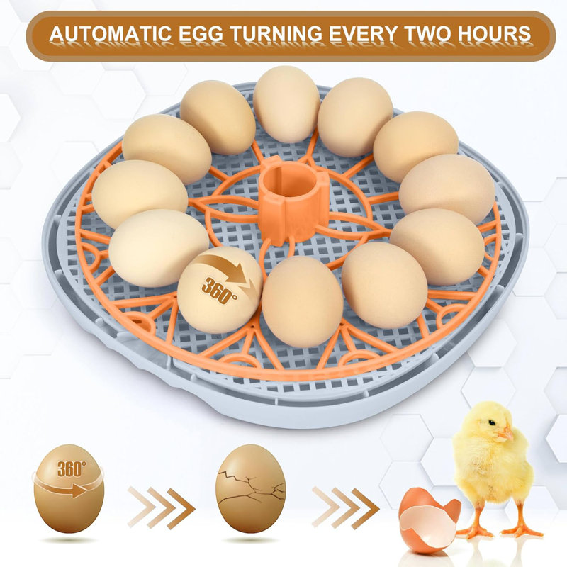 Smart Chicken Incubators for Hatching Eggs with Automatic Turner Small Poultry Duck Quail 12 Egg Incubator Temperature Control Display Hatcher Machine (Mechachick, ?)