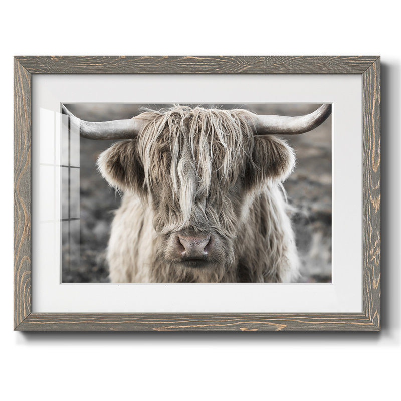 Highland Skye, reproduction d'art encadrée, Gris, H 14 po x l 20 po x P 1,5 po