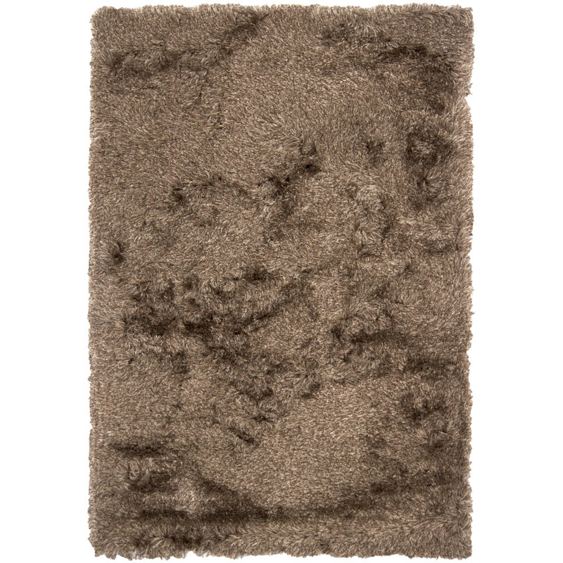 Petrina Indoor Rug, 2' x 3'
