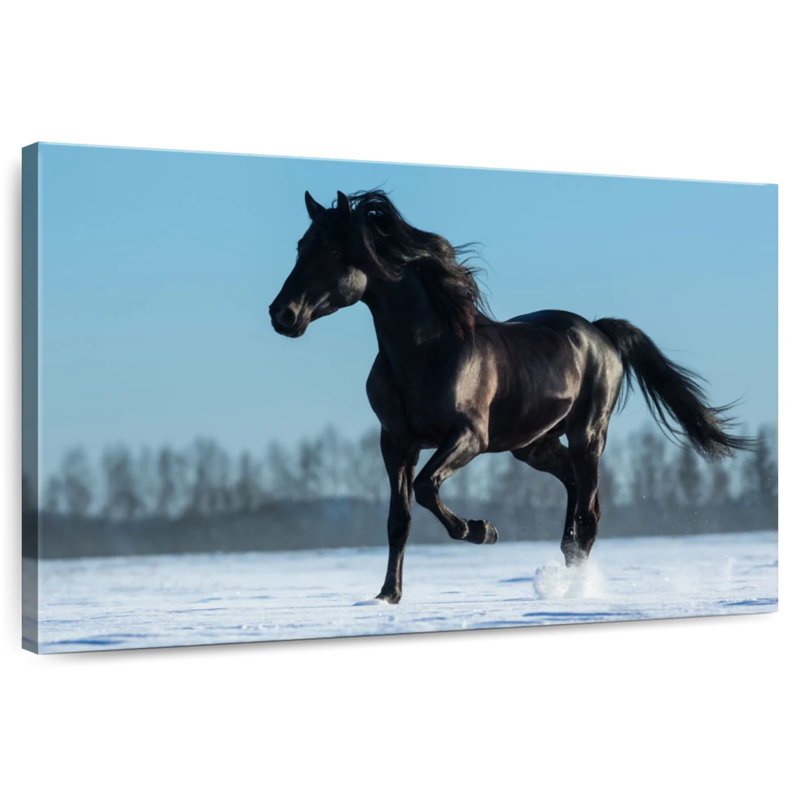 Brampt Purebred Spanish Horse, 30'' H x 45'' W