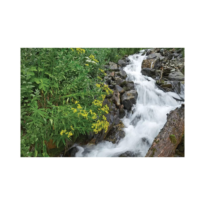 Creek Near Silverton, Colorado 1 Piece Wrapped Canvas Wall Art, 30.48 cm H x 45.72 cm W