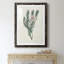 Protea N33 - Peinture encadrée-1258477358-1258477359