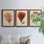 Antique Red Coral IV - Ensemble de 3 peintures sur toile encadrées-1301298112-1301298118