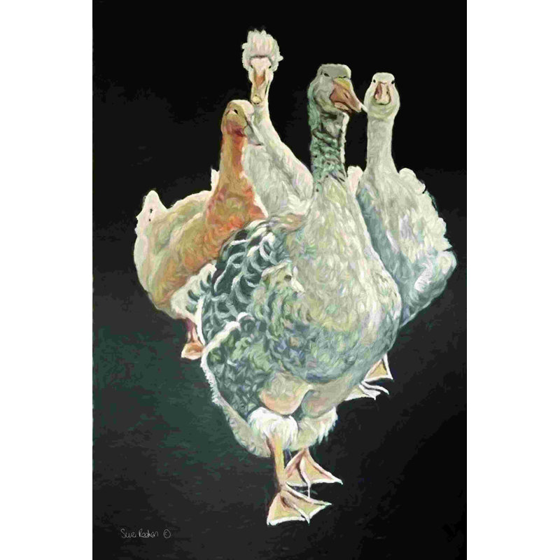 Duck Quartet 2884150, H 18 po x l 12 po