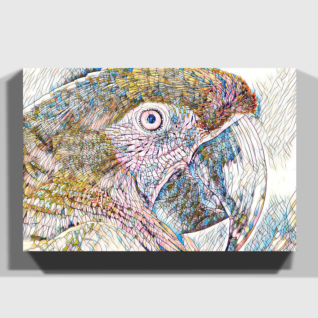 'Macaw Parrot Bird' Graphic Art on Wrapped Canvas