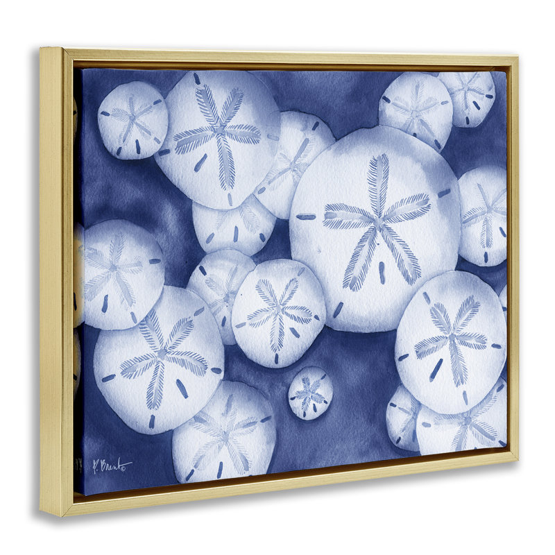 Cadre flottant Watercolor Style Sand Dollars, design par Paul Brent, H 17 po x l 21 po, Cadre flottant métallique doré