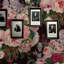 Cevilla Dark Velvet Floral Wallpaper