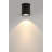 Plaza 100 Ceiling Mount, 14W, Black Finish