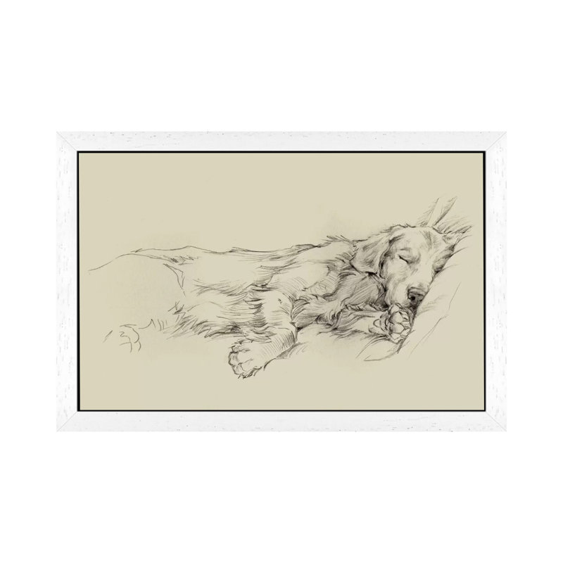 Dog Days III 1 Piece Wall Art on Canvas, 66.04 cm H x 45.72 cm W, White Framed