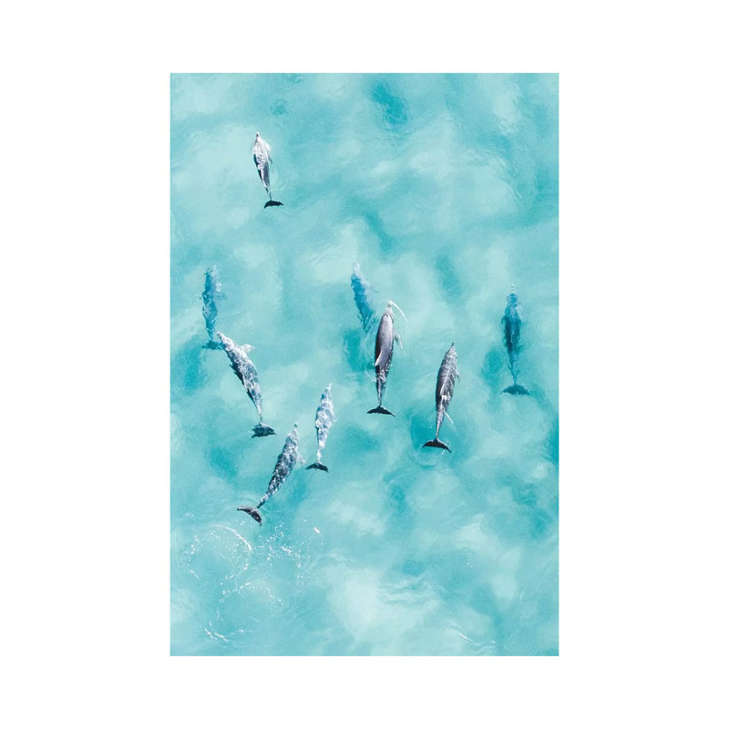 Cruisy Dolphins III by Jaxon Roberts - Wrapped Canvas Print, 30.48cm H x 20.32cm W x 1.905cm D