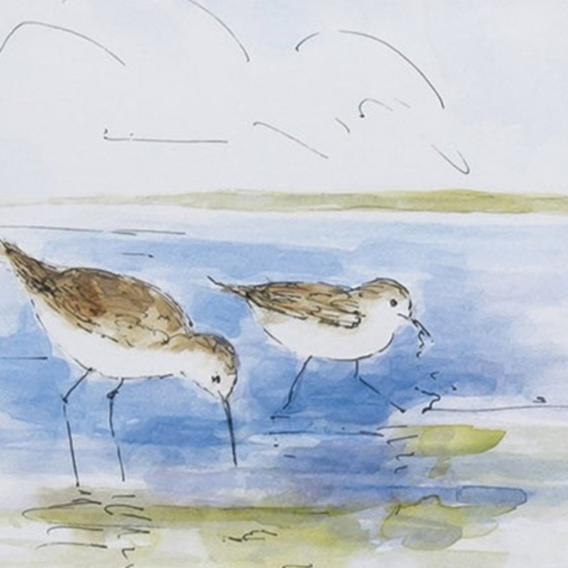 Ensemble de 2 oiseaux encadrés aquarelle