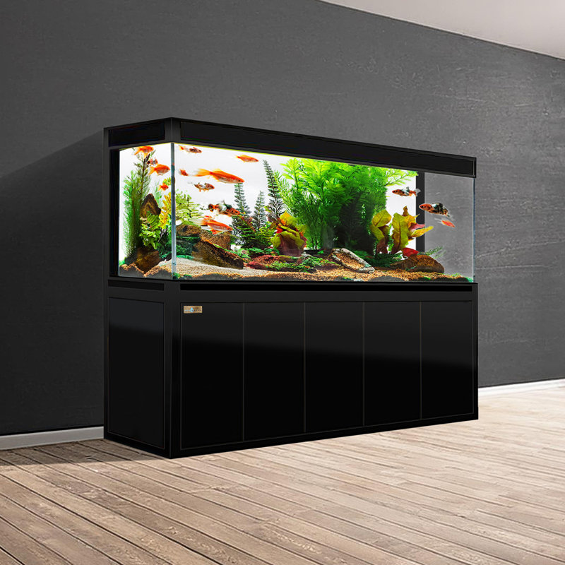 Aquarium rectangulaire 394 gallons