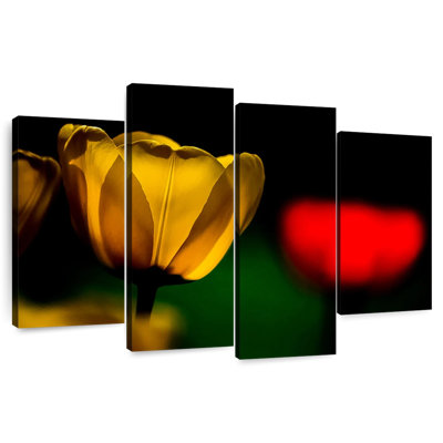 Harnek tulipes jaunes en fleurs