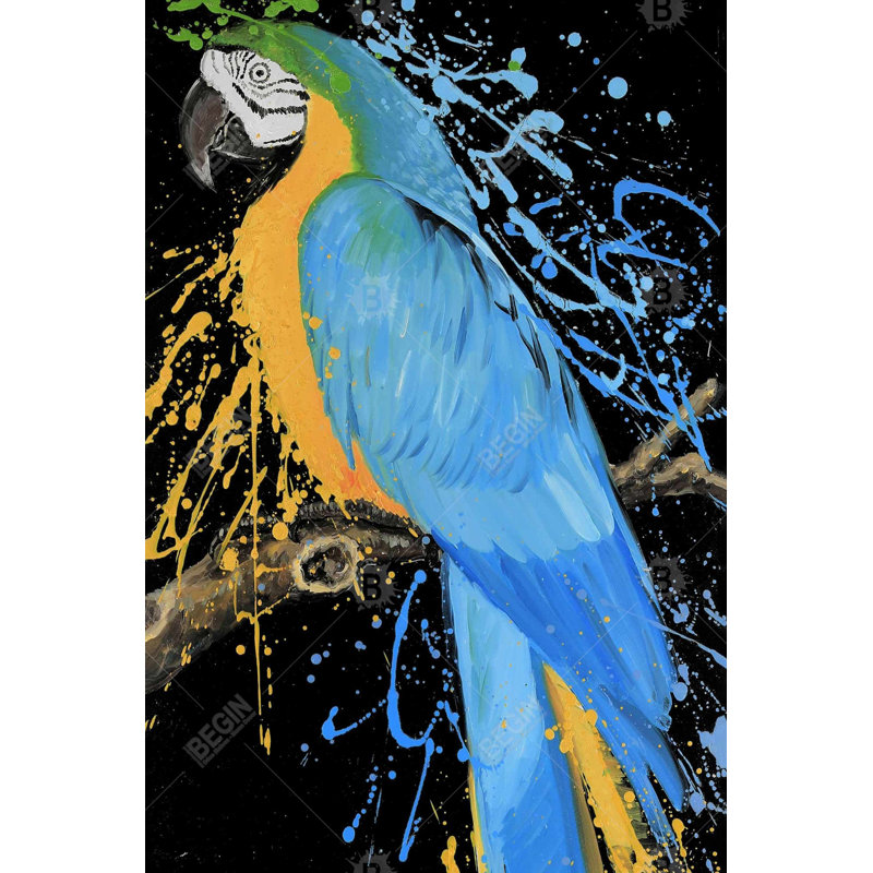 Blue macaw parrot Bath Mat with Non-Slip Backing - Quick Dry Memory Foam Bathroom Rug - Absorbent - Modern Plush Spa-Style - Machine Washable