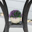 Ensemble de chaises longues inclinables 57,5 "avec coussins et table-98051864