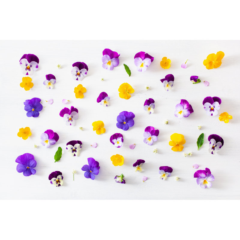 Cragsmoor Beautiful Pansy And Violet - Wrapped Canvas Print, 30cm H x 46cm W x 3.8cm D