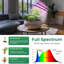 Maker Network Grow Light