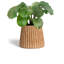 Planter