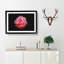 Lone Pink Carnation - Picture Frame Graphic Art Print-56859907-56859909
