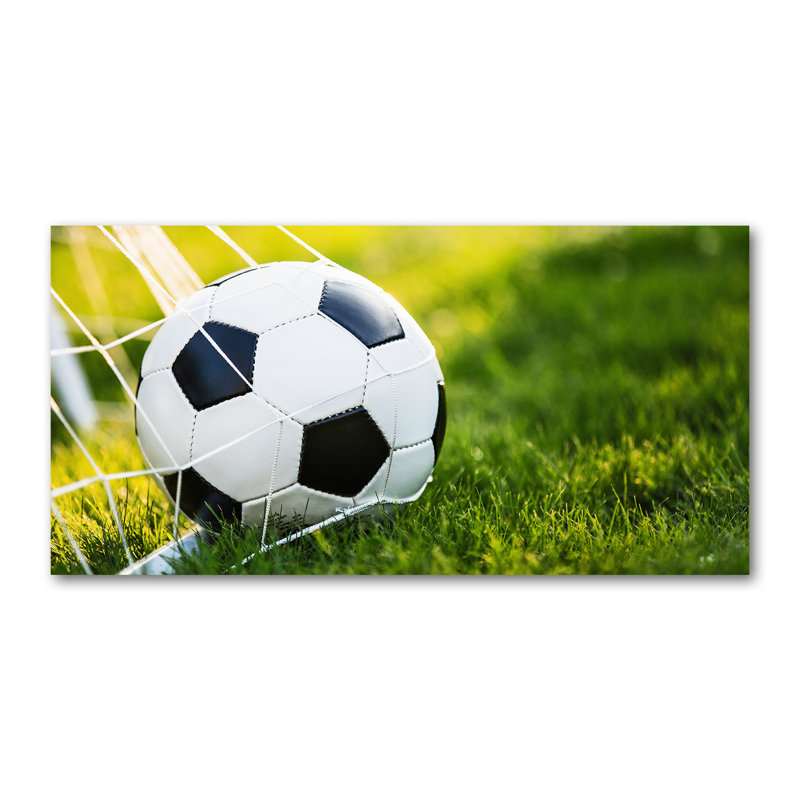 Ball in the Goal 1 Piece Wall Art on Canvas