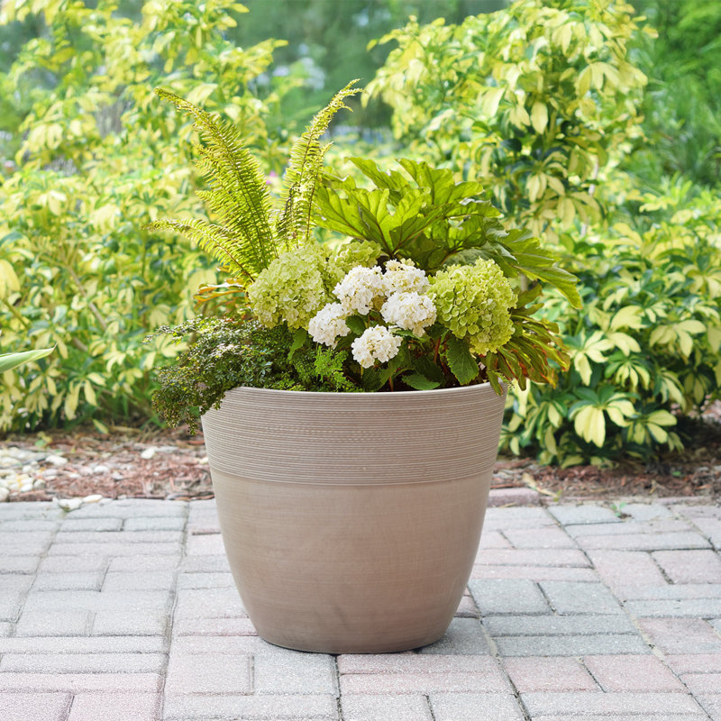 Pot à fleurs en plastique gravé Myrtlewood, H 10 po x l 12 po x P 12 po, Taupe