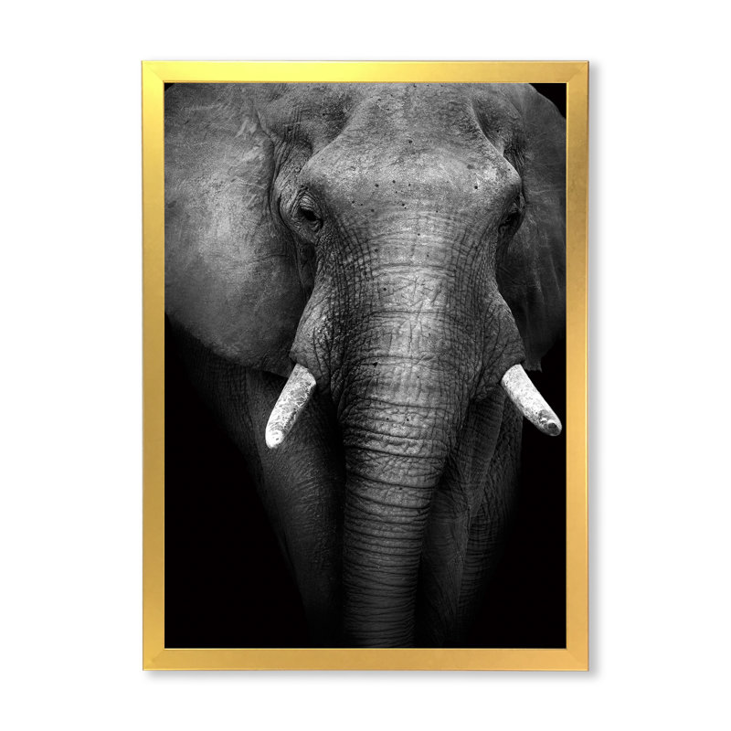 Éléphant d'Afrique sauvage en noir et blanc II - reproduction d'art sur toile, H 20 po x l 12 po x P 1 po, Cadre photo doré