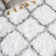 Brimfield Indie Shag Performance Geometric Rug