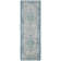 Amedee Performance Oriental Indoor/Outdoor Area Rug