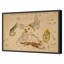 Lacerta Print by Grand Archives-1767440276-1767440277