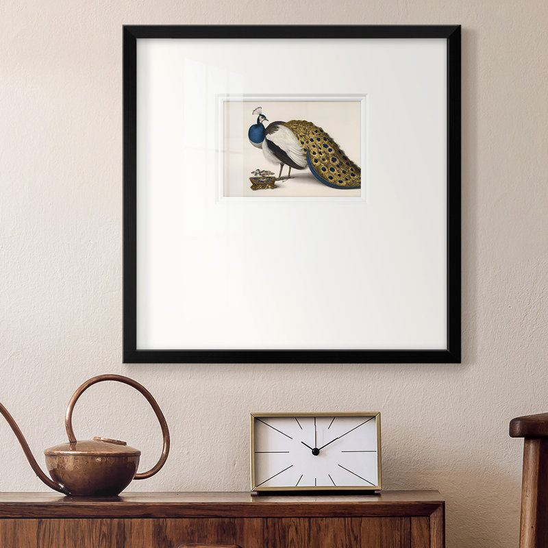 Plumage de paon encadré sur papier, H 17 po x l 17 po x P 1,25 po