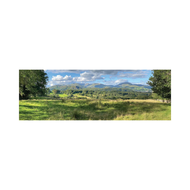 Fresh Perspective by Noah Bay - Wrapped Canvas Panoramic Print, 30.48 cm H x 91.44 cm W x 1.91 cm D