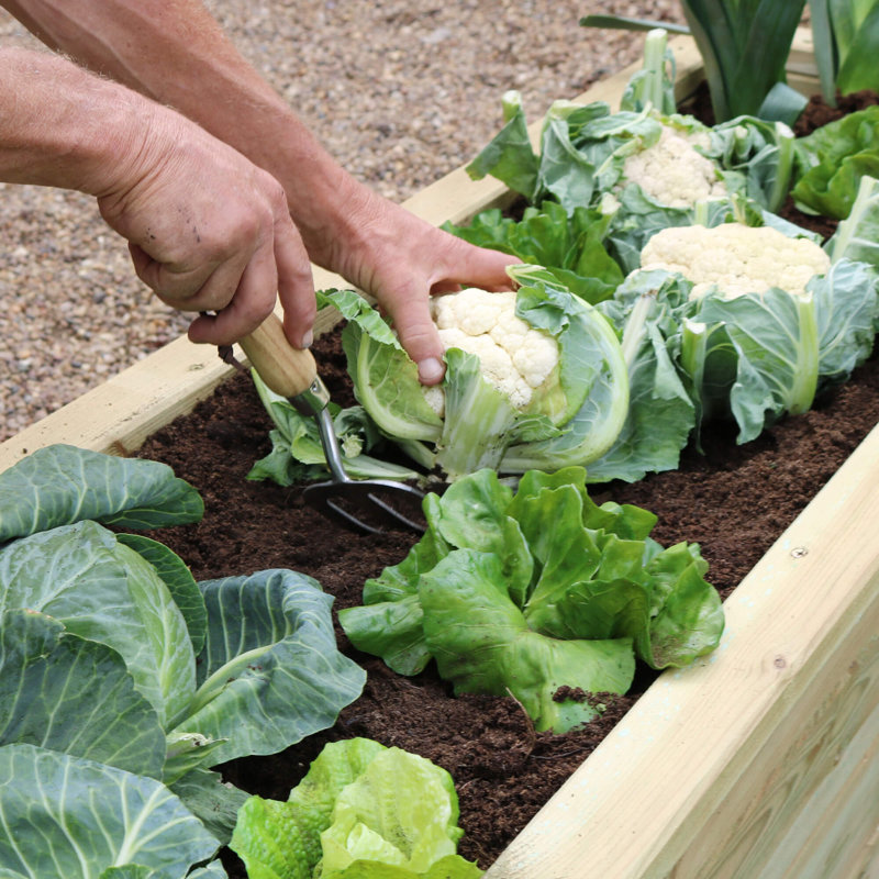 Kyler Raised Garden Bed, H45 x W180 x D45cm
