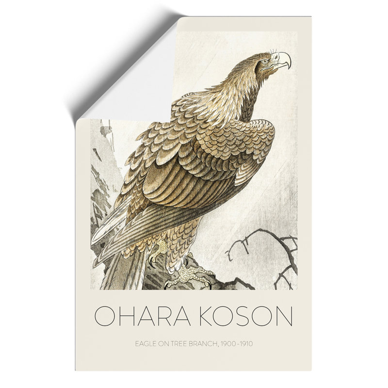 Eagle on a Tree Branch Print by Ohara Koson - Frameless Print, 59cm H x 42cm W x 0.1cm D
