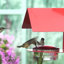 Mangeoire colibri de Dieguez Cottage-936976320