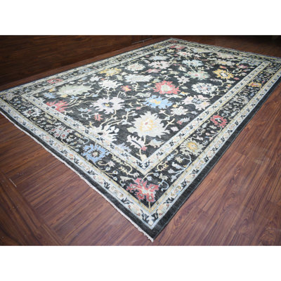 Vasti One-of-a-Kind 11'9" X 17'7" New Age Area Rug in Black