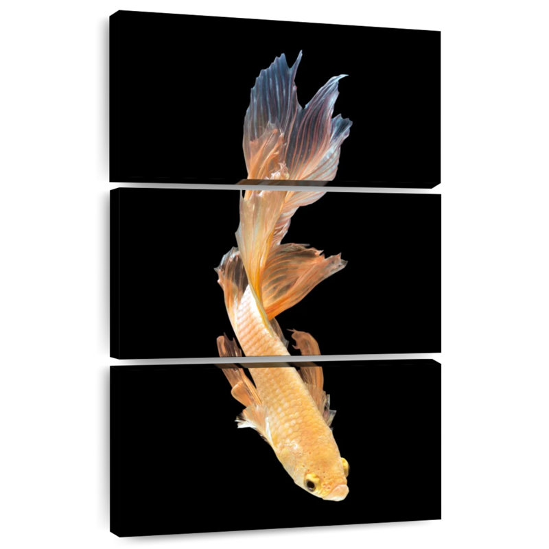 Brampt Betta Fish Dive, 74" H x 48" W
