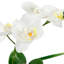 Arrangement floral orchidée artificielle en pot 12 po et plantes succulentes