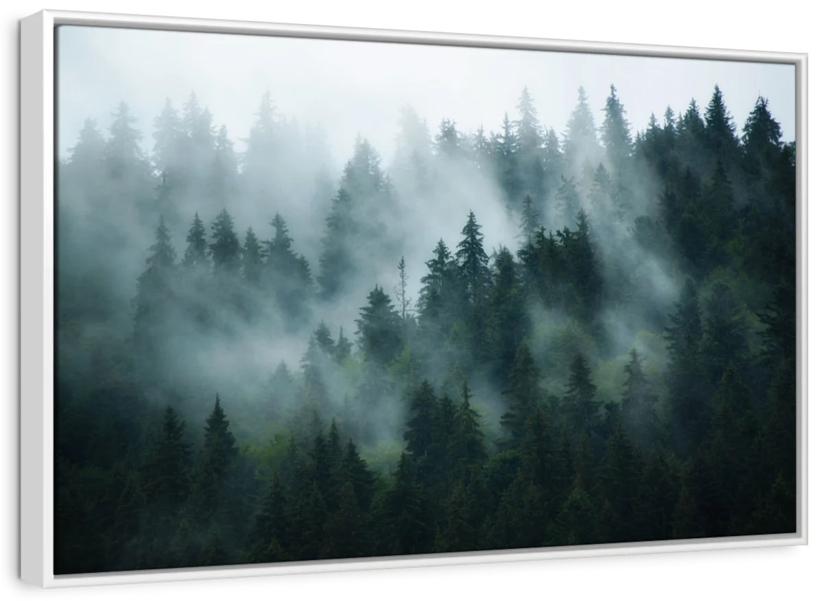 Millwood Pines Alvord Misty Fir Forest | Wayfair