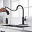 Blue Elephant Pull Down Kitchen Faucet-641023956