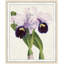 Orchid 3 Print