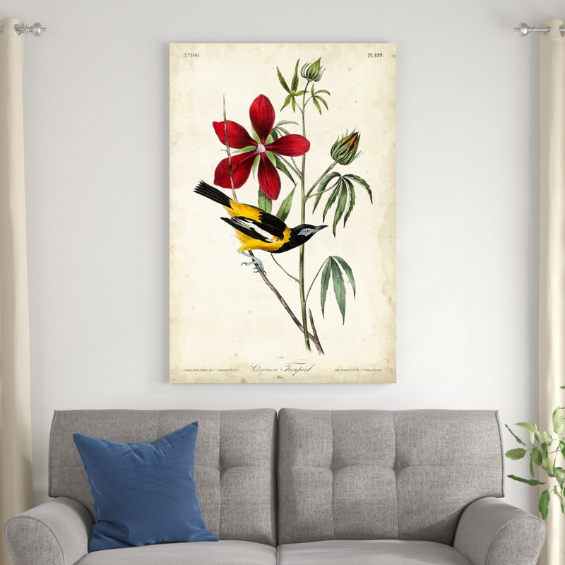 Audubon, oiseau et botanique I, H 48 po x l 32 po x P 1,25 po