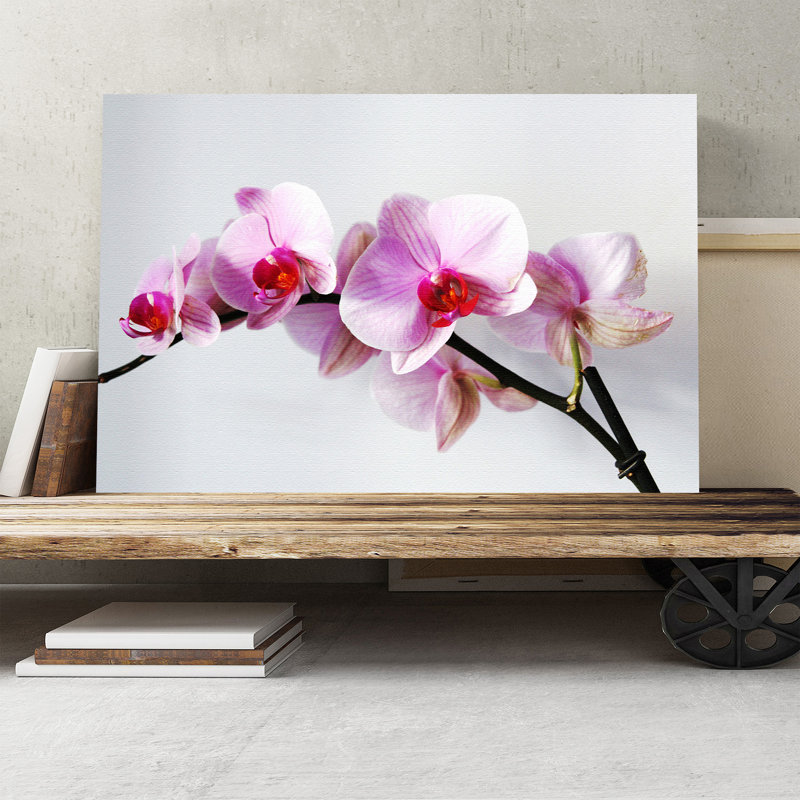 Flower Pink Orchid - Wrapped Canvas, 35cm H x 50cm W